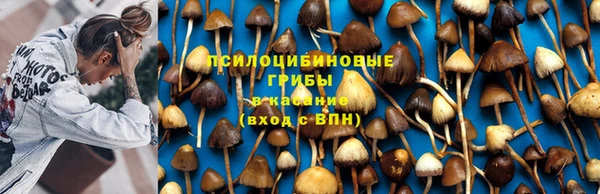 ALPHA-PVP Баксан