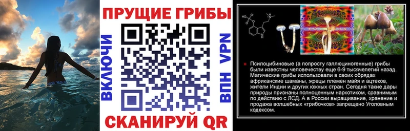 Псилоцибиновые грибы мухоморы  Сертолово 
